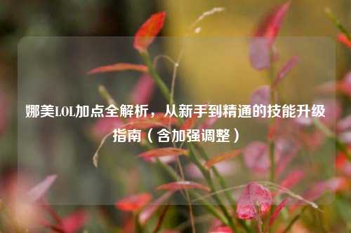 娜美LOL加点全解析,从新手到精通的技能升级指南(含加强调整)