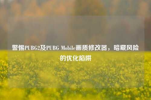 警惕PUBG2及PUBG Mobile画质修改器,暗藏风险的优化陷阱