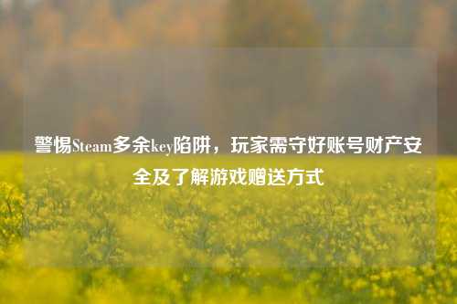 警惕Steam多余key陷阱,玩家需守好账号财产安全及了解游戏赠送方式