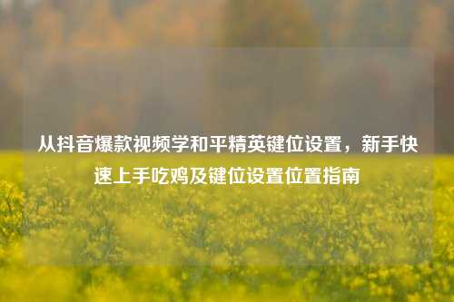 从抖音爆款视频学和平精英键位设置,新手快速上手吃鸡及键位设置位置指南