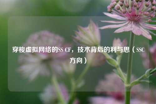 穿梭虚拟网络的SS CF,技术背后的利与思(SSC方向)