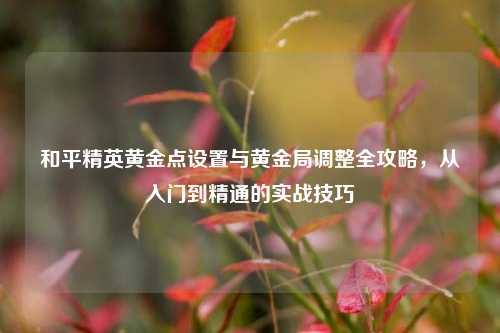 和平精英黄金点设置与黄金局调整全攻略,从入门到精通的实战技巧