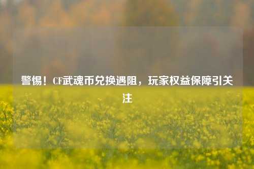 警惕!CF武魂币兑换遇阻,玩家权益保障引关注