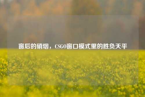 窗后的硝烟,CSGO窗口模式里的胜负天平