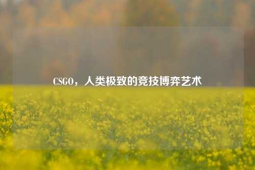 CSGO,人类极致的竞技博弈艺术