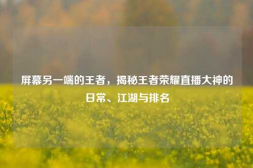 屏幕另一端的王者,揭秘王者荣耀直播大神的日常、江湖与排名