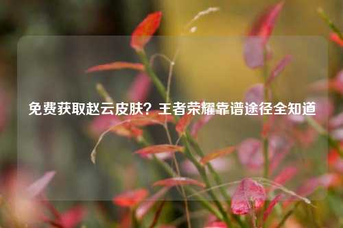 免费获取赵云皮肤?王者荣耀靠谱途径全知道