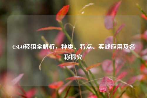 CSGO轻狙全解析,种类、特点、实战应用及名称探究