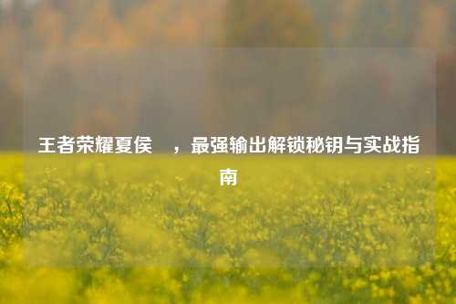 王者荣耀夏侯惇，最强输出解锁秘钥与实战指南