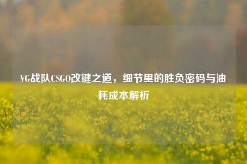 VG战队CSGO改键之道,细节里的胜负密码与油耗成本解析