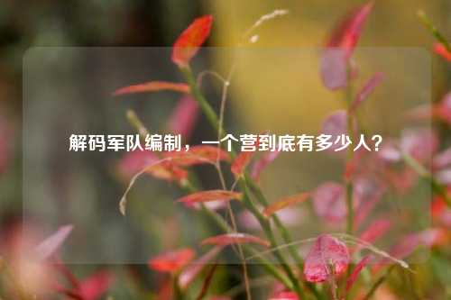 解码军队编制，一个营到底有多少人？