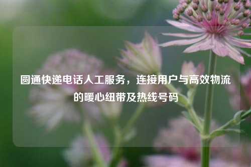 圆通快递电话人工服务,连接用户与高效物流的暖心纽带及热线号码