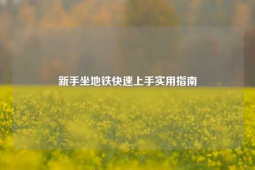新手坐地铁快速上手实用指南