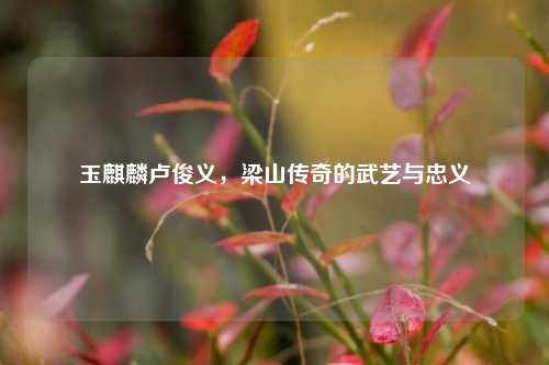 玉麒麟卢俊义,梁山传奇的武艺与忠义