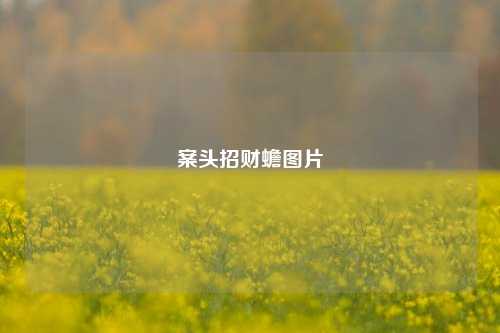 案头招财蟾图片