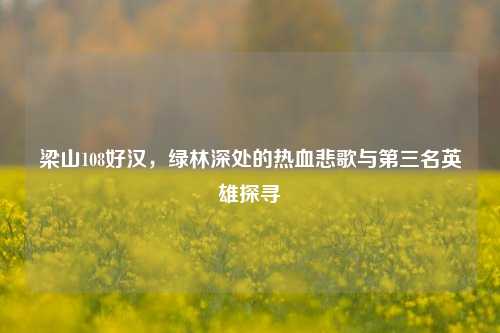 梁山108好汉,绿林深处的热血悲歌与第三名英雄探寻