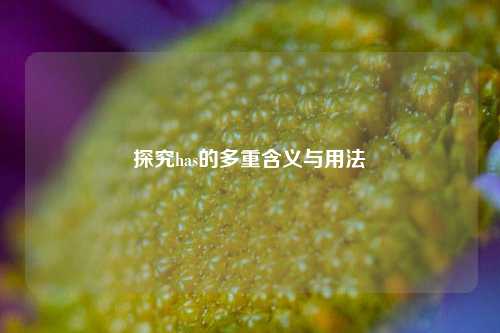 探究has的多重含义与用法