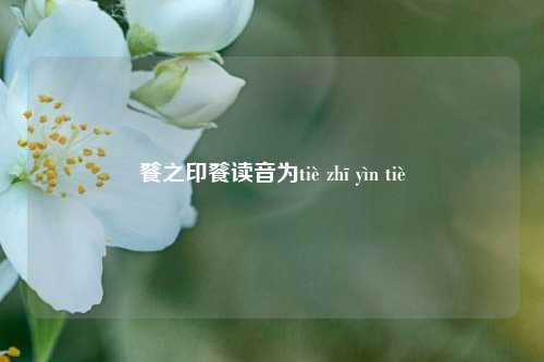 餮之印餮读音为tiè zhī yìn tiè