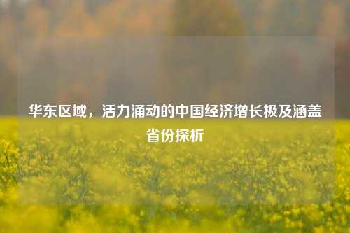 华东区域,活力涌动的中国经济增长极及涵盖省份探析
