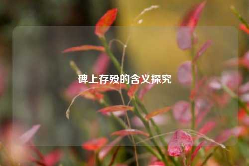 碑上存殁的含义探究