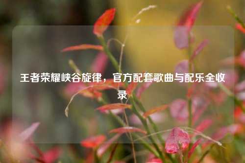 王者荣耀峡谷旋律，官方配套歌曲与配乐全收录