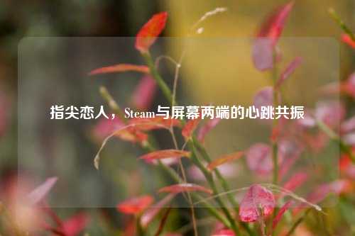 指尖恋人,Steam与屏幕两端的心跳共振