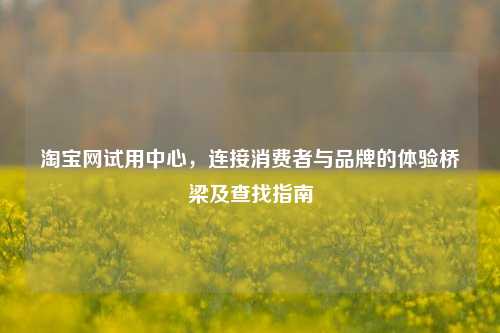淘宝网试用中心,连接消费者与品牌的体验桥梁及查找指南