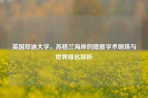 英国邓迪大学，苏格兰海岸的隐匿学术明珠与世界排名探析