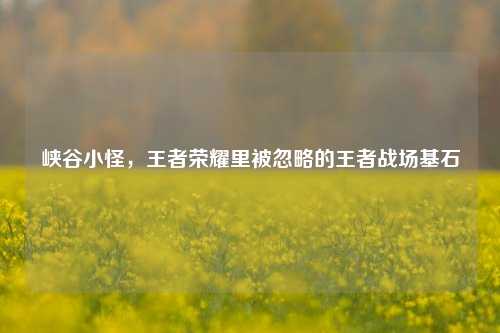 峡谷小怪，王者荣耀里被忽略的王者战场基石