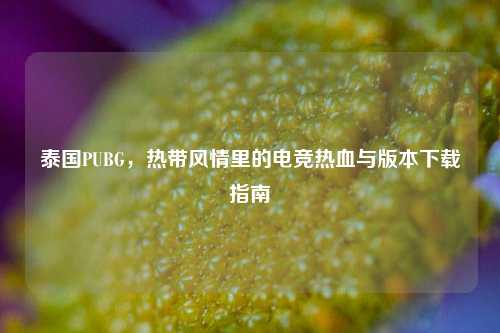 泰国PUBG,热带风情里的电竞热血与版本下载指南