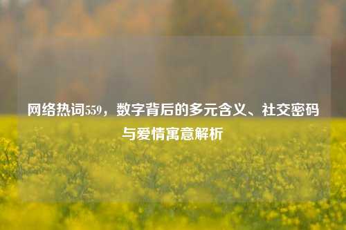 网络热词559,数字背后的多元含义、社交密码与爱情寓意解析