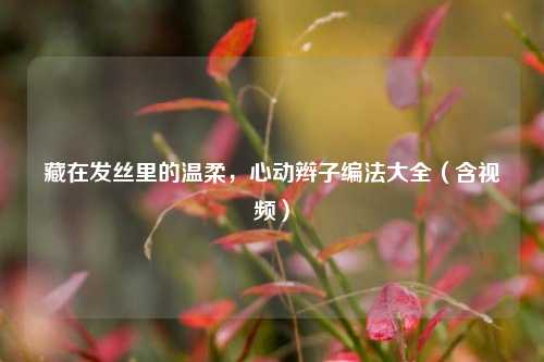 藏在发丝里的温柔,心动辫子编法大全(含视频)