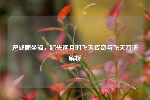 逆战鹿坐骑,踏光逐月的飞天传奇与飞天方法解析