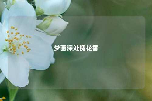 梦画深处槐花香