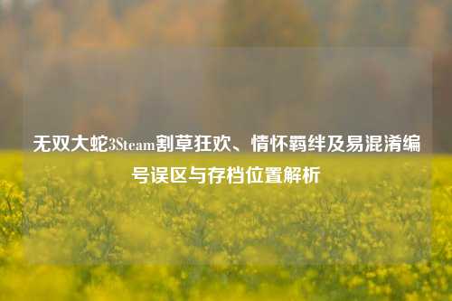 无双大蛇3Steam割草狂欢、情怀羁绊及易混淆编号误区与存档位置解析