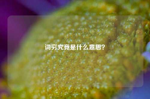 词穷究竟是什么意思?