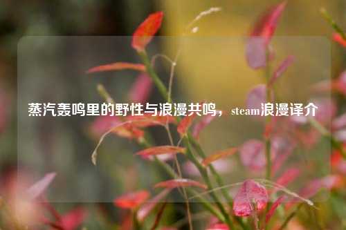 蒸汽轰鸣里的野性与浪漫共鸣,steam浪漫译介