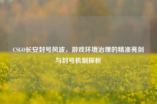 CSGO长安封号风波,游戏环境治理的精准亮剑与封号机制探析
