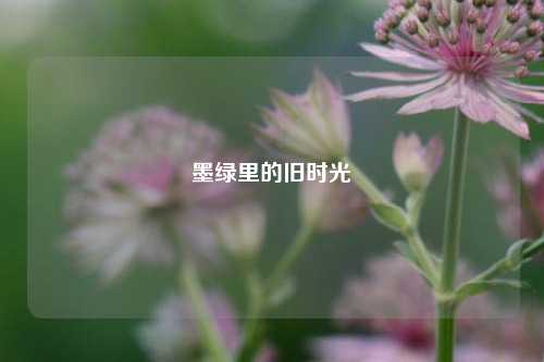 墨绿里的旧时光