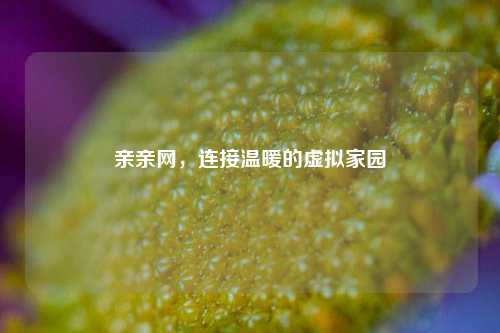 亲亲网,连接温暖的虚拟家园
