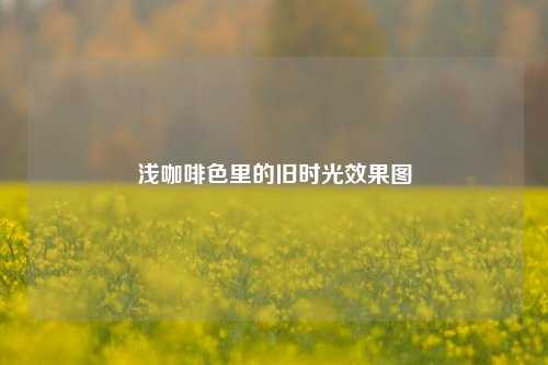 浅咖啡色里的旧时光效果图