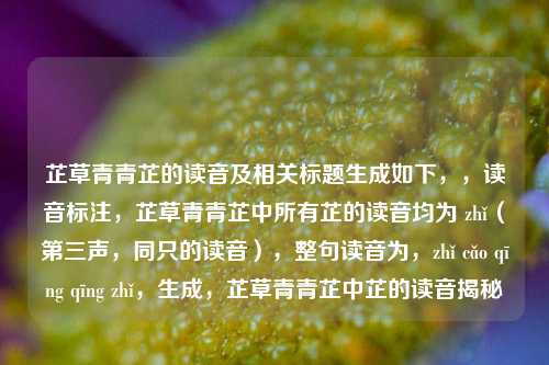 芷草青青芷的读音及相关标题生成如下,,读音标注,芷草青青芷中所有芷的读音均为 zhǐ(第三声,同只的读音),整句读音为,zhǐ cǎo qīng qīng zhǐ,生成,芷草青青芷中芷的读音揭秘