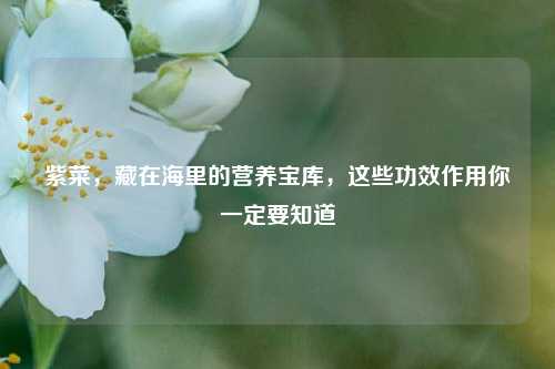 紫菜,藏在海里的营养宝库,这些功效作用你一定要知道