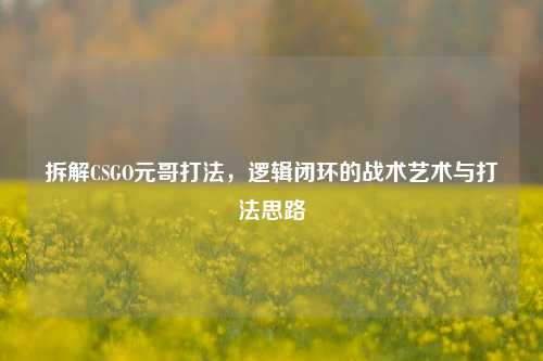 拆解CSGO元哥打法,逻辑闭环的战术艺术与打法思路