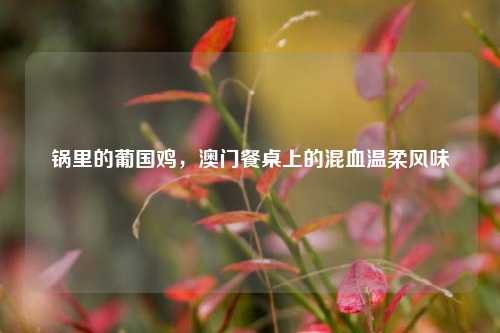 锅里的葡国鸡,澳门餐桌上的混血温柔风味