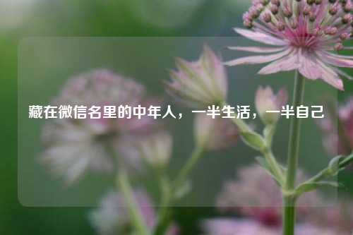 藏在微信名里的中年人,一半生活,一半自己