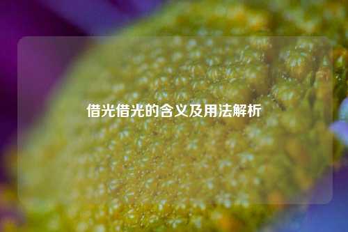 借光借光的含义及用法解析