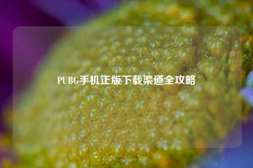 PUBG手机正版下载渠道全攻略
