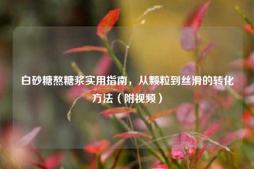白砂糖熬糖浆实用指南,从颗粒到丝滑的转化方法(附视频)