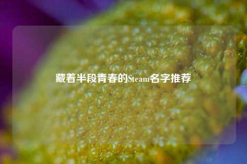 藏着半段青春的Steam名字推荐